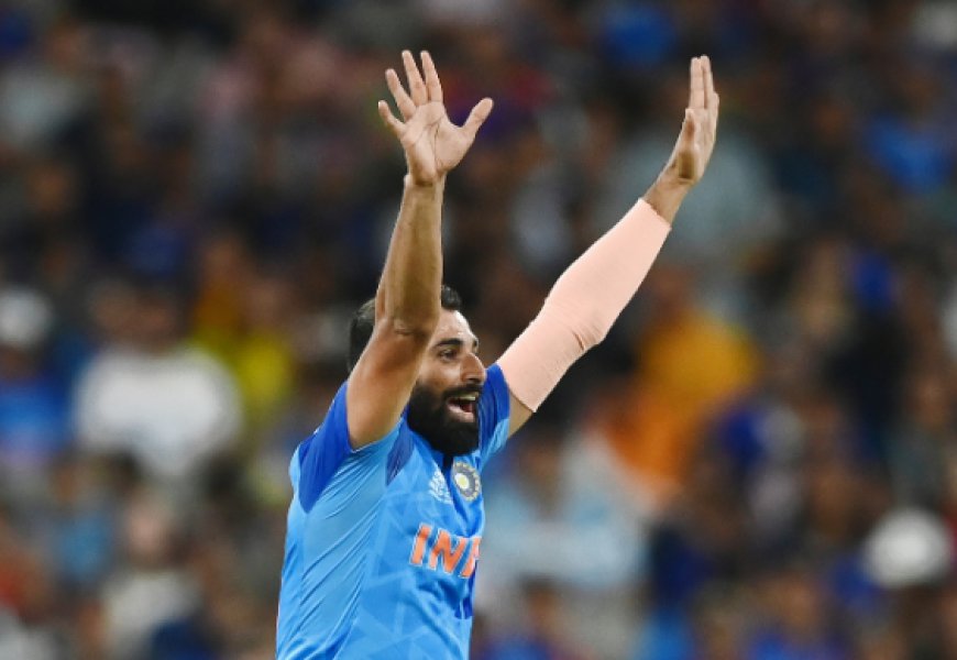 From Rejections to Records: Mohammed Shami's Inspirational Journey to Cricket Stardom